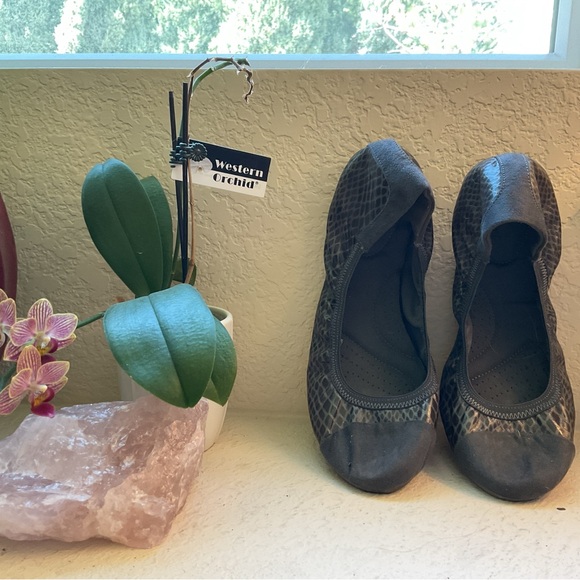 Gray Women's Flex Ballet Flats - Picture 2 of 4